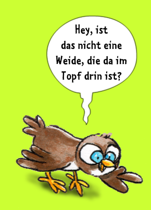eule